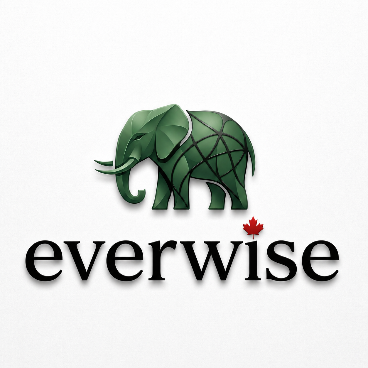 Everwise International